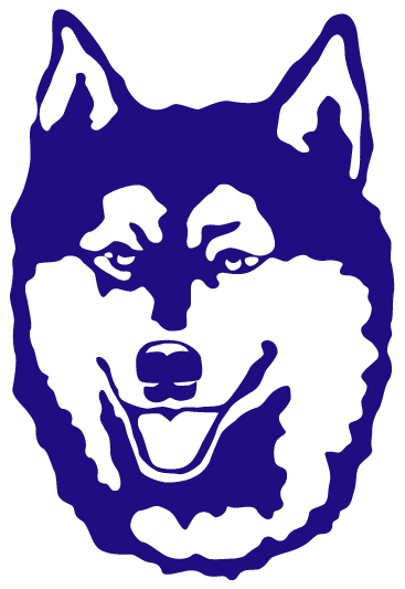 Washington Huskies 1975-1994 Partial Logo DIY iron on transfer (heat transfer)